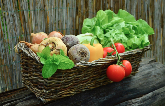 写真：農家の野菜